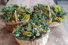 15.08.2024 Kräutersegnung zu Mariä Himmelfahrt